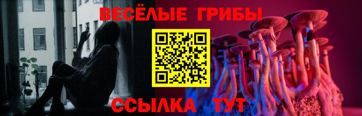 наркота  Галлюциногенные грибы GOLDEN TEACHER  Вход с VPN  Александров 
